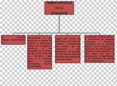 Introduction To Evolution Concept Map Biology Png Clipart Actividad