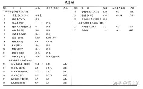 尿常规，人人体检都能用得上的50条小常识，值得收藏！ 知乎