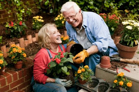 Amazing Health Benefits Of Gardening For Seniors Perks Of Gardening