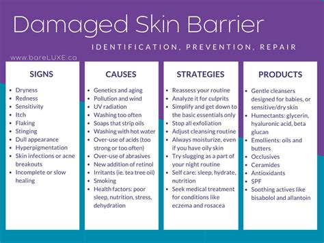 Damaged Skin Barrier? How to Repair it and Keep it Healthy