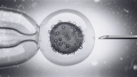 รูปภาพmicroinjection เลือกดูภาพถ่ายสต็อก เวกเตอร์ และวิดีโอ154