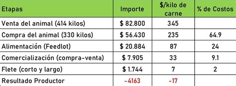 Análisis del costo de la carne por kilo en Buenos Aires XanCouso