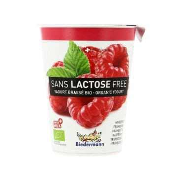 Yaourt Framboise Sans Lactose 400g Bio