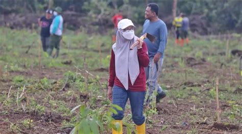 Gelorakan Revolusi Hijau Dinas Kehutanan Provinsi Kalsel Tanam 1000