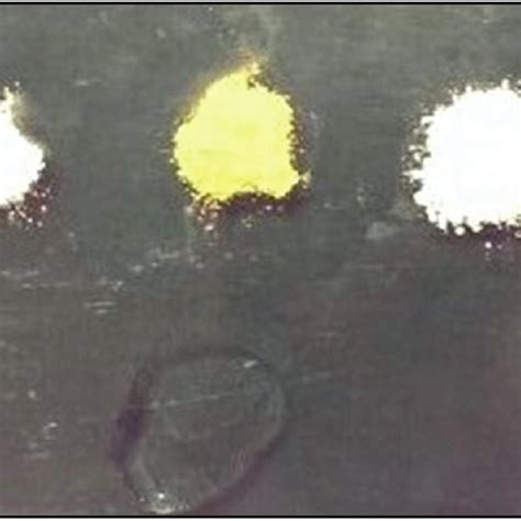 Preparation of triple antibiotic paste | Download Scientific Diagram