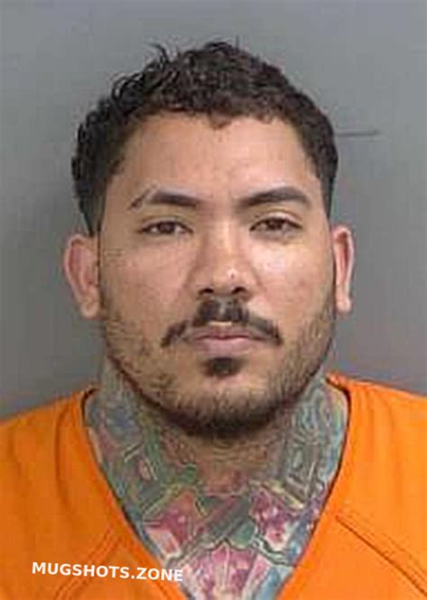 PONCEDUARTE RAYDEL 04 21 2024 Collier County Mugshots Zone