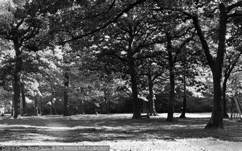 Photo Of Hockley Woods C1955 Francis Frith