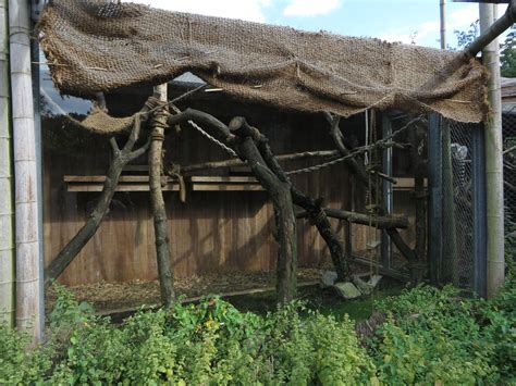 Lemur Enclosure Zoochat
