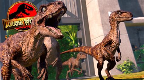 Os Velociraptors Chegaram In Cio Do Jurassic Park Jurassic World