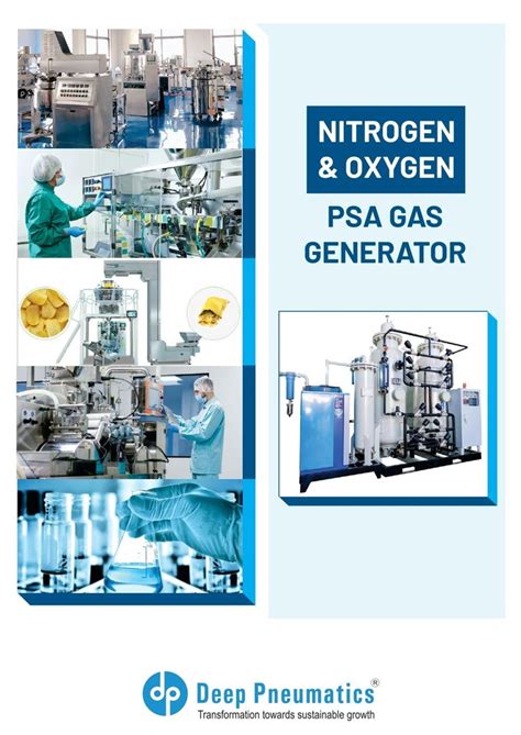 Psa Oxygen Gas Generator 250 LPM 15 Nm3 Hr At Rs 2500000 In