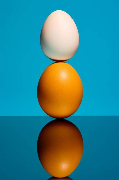 High Contrast Egg Images Free Download On Freepik