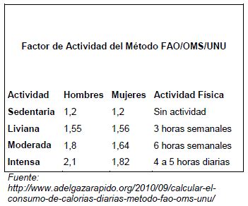 Revista De Actualizaci N Cl Nica Investiga Gasto Y Consumo Energetico