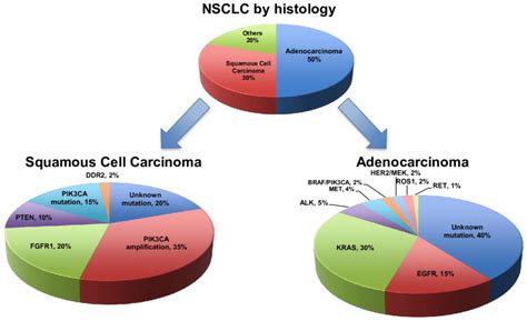 Nsclc Lung Cancer