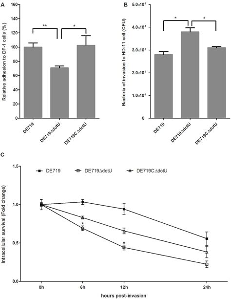 Bacterial Adhesion Invasion And Intracellular Survival Assays A