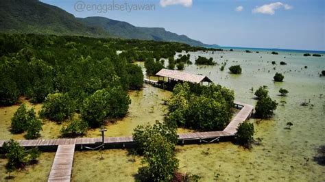 10 Tempat Wisata Hutan Mangrove Di Indonesia Yang Indah Dan Menyejukkan