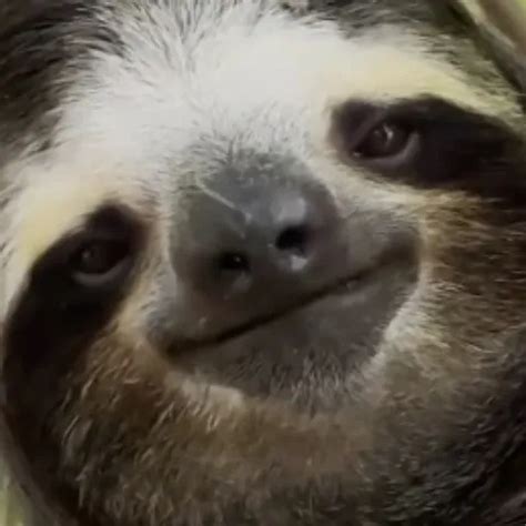 Boules Dans Mon Q Manx Gay Amateur Amateur Porn XHamster