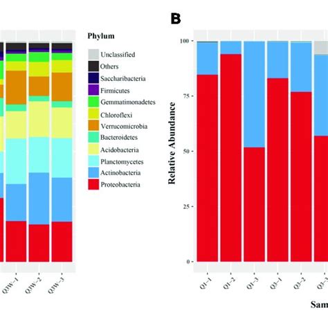 Relative Abundance Of Bacteria And Fungi In Phylum Level Weighted