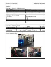 Lab Pdf Lab Report Electrochemistry Dewi Maulida