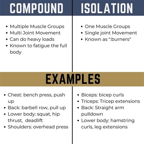 Compound Vs Isolation Exercises Telos Strength And Conditioning