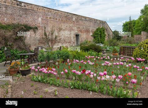 English Courtyard Garden Hi Res Stock Photography And Images Alamy