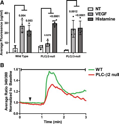 Plc Promotes Vegf Induced Vascular Permeability Arteriosclerosis