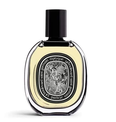 What Does Vetiver Smell Like The Ultimate Guide Dapper Confidential