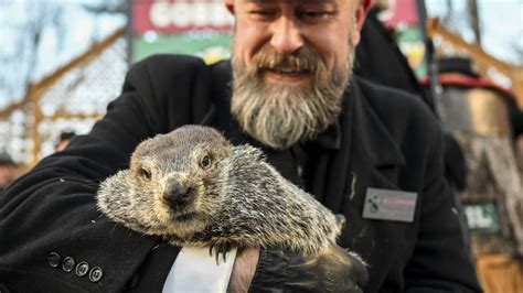 Groundhog Day: Punxsutawney Phil is terrible at weather predictions | Mashable