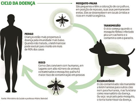 Semana Estadual de Prevenção e Controle da Leishmaniose Visceral de 5 a