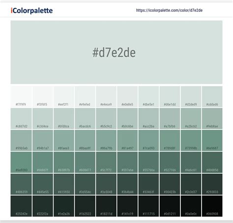 Windsurfer Information Hsl Rgb Pantone