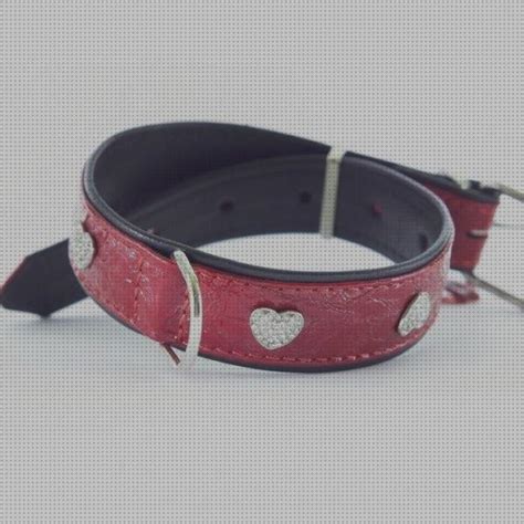 Los 18 Mejores Collares Para Perros Pitbull Hembras Y