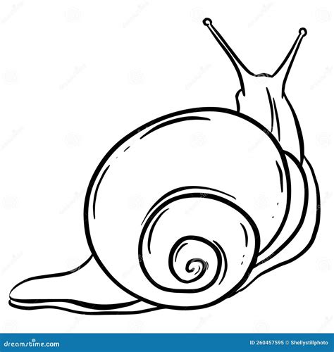 Line Art Outline Of A Garden Snail With Shell For Logo Or Mascot Design