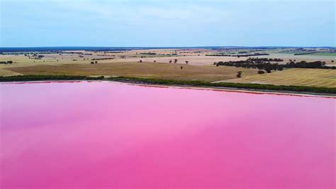 Footage Aerial view of Dimboola pink lake Nature Reserve of western ...