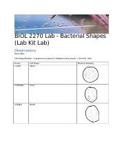 Biol Lab Bacterial Shapes Lab Kit Lab Docx Biol Lab