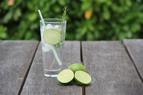 Gin Tonic Receta C Ctel F Cil De Hacer Con Ginebra Y Agua T Nica