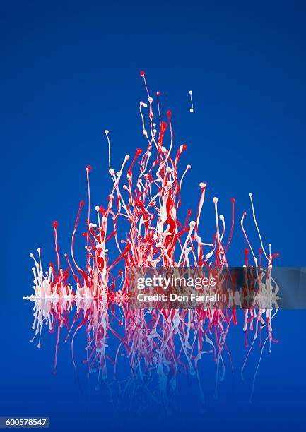 1,004 Red Sound Wave Stock Photos, High-Res Pictures, and Images ...