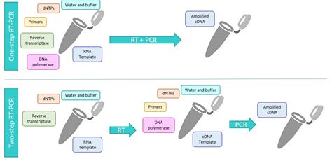 RT PCR Mixes And Kits Clinisciences