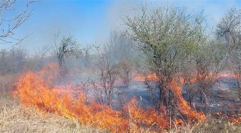 Mai multe incendii de vegetație izbucnite în Argeș Argeș Știri