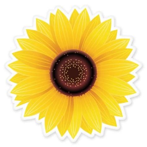 Sunflower Car Vinyl Sticker Select Size Ebay