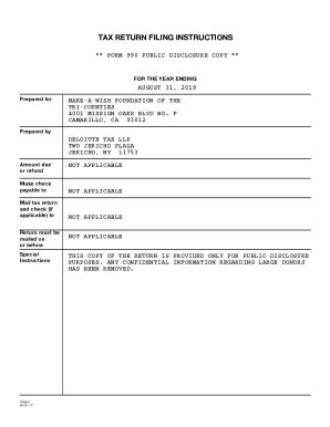 Fillable Online Instructions For Form N And Ez Pta