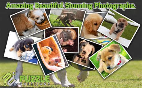 Free Cute Puppy Jigsaw Puzzle Games - App on Amazon Appstore