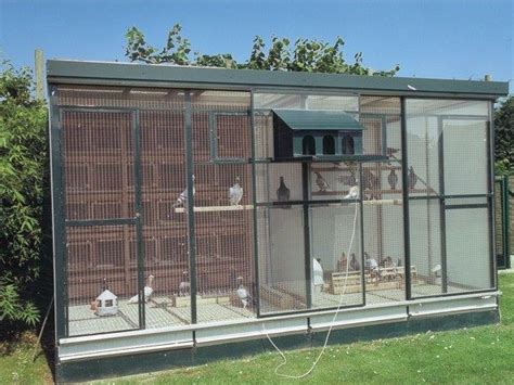 Simple Open Front Two Compartment Pigeon Loft With Images Pigeon