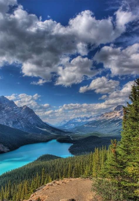 Top Things To Do In Banff National Park Voyage Afield Travel Cool