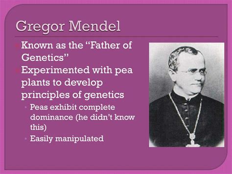 Ppt Chapter Mendel The Gene Idea Powerpoint Presentation Free