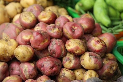 Aracari Launches The Peru Food Guide Second Edition Aracari Travel