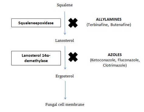 Topical Antifungals Used For Treatment Of Seborrheic Dermatitis Medcrave Online