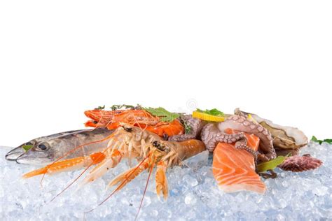 Fresh Seafood On Crushed Ice Stock Photo Image Of Fresh Delicious