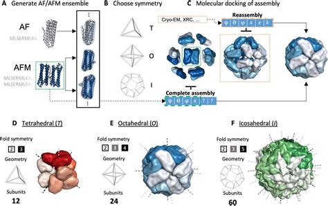 A Synergistic Approach Alphafold And Symmetrical Docking For Precise Protein Assembly Structure