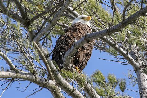 Relaxing Photograph By Debbie Storie Fine Art America