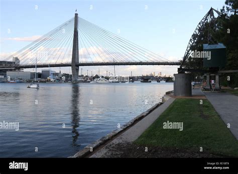 The Anzac Bridge Viewed From The Glebe Foreshore Walk Sydney