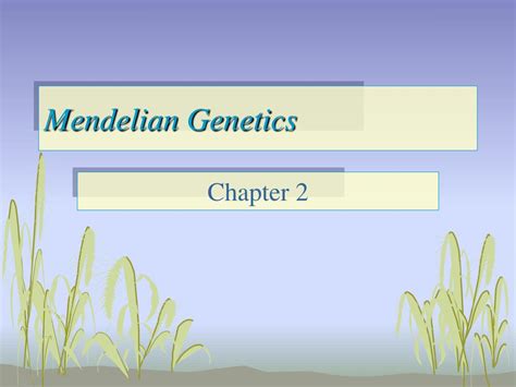 Ppt Mendelian Genetics Powerpoint Presentation Free Download Id152605